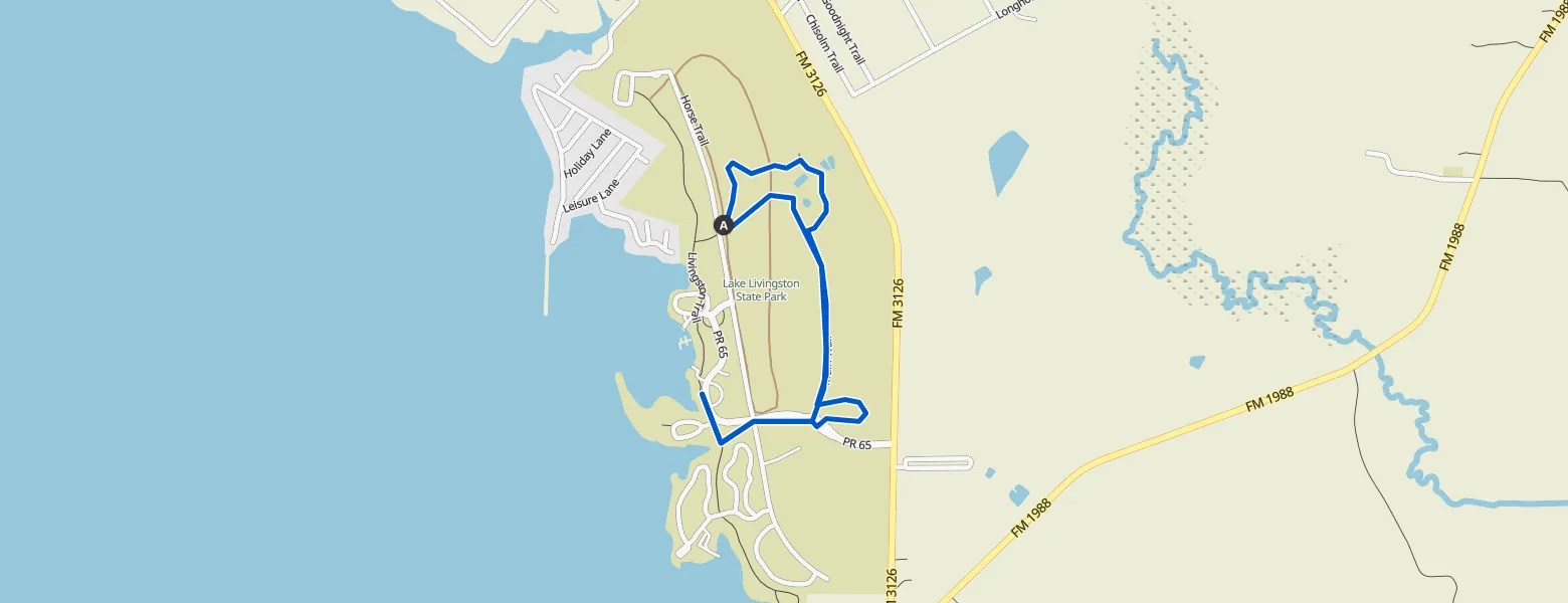 Pineywoods Boardwalk, Fósi, Oak Flat and Hawthorn Trails out and back